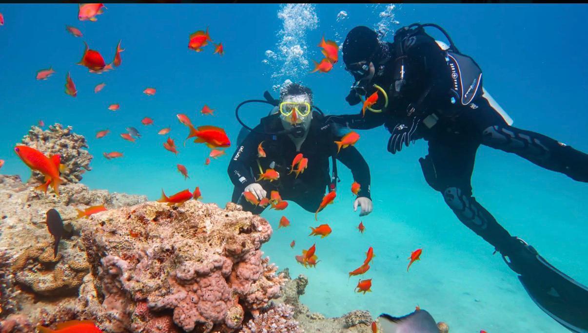 Discovery Diving in Djerba